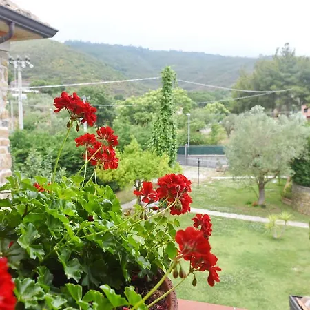 Il Cenito 3* Castellabate