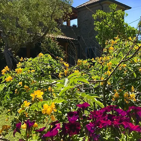 Bed & Breakfast Il Cenito Castellabate
