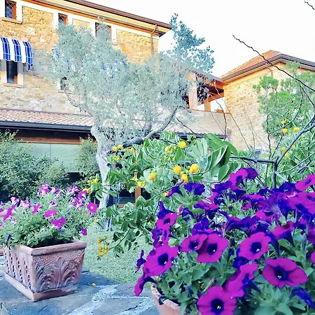 Bed & Breakfast Il Cenito 3*